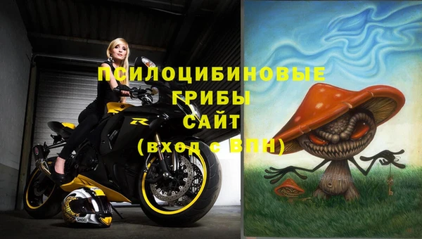 ПСИЛОЦИБИНОВЫЕ ГРИБЫ Арсеньев