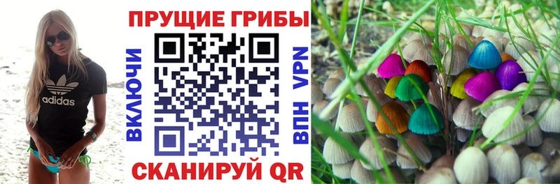 Псилоцибиновые грибы мицелий  KRAKEN как зайти  Карабаш 